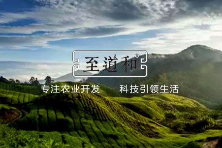 云南至道和農(nóng)業(yè)